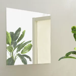 Mirror cabinets_Mirrors_Mirror_60_x_60_cm_5430_Images_web_1_1440x1080