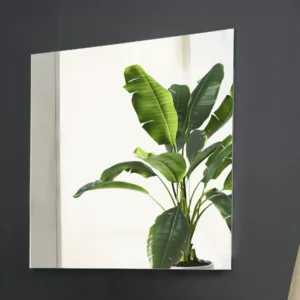Mirror cabinets_Mirrors_Mirror_80_x_80_cm_5432_Images_web_1_1440x1080