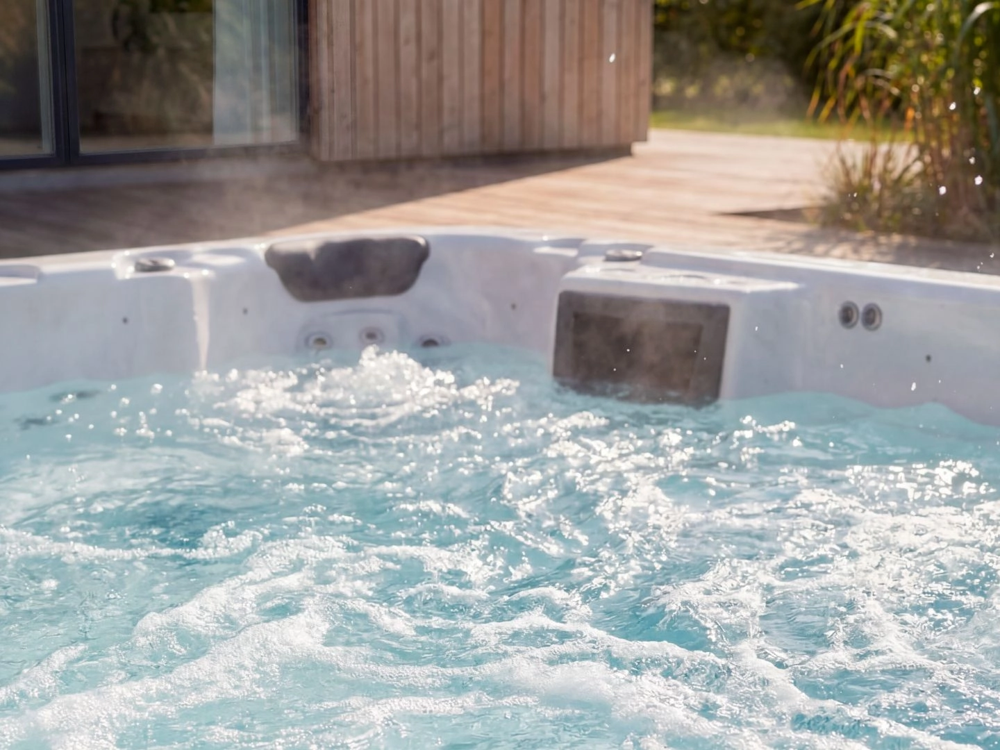 Swimspa Arena - Picture 4